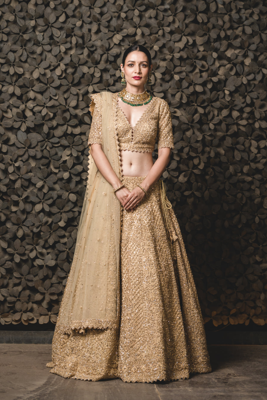 Gold Tulle Lehenga Choli Set