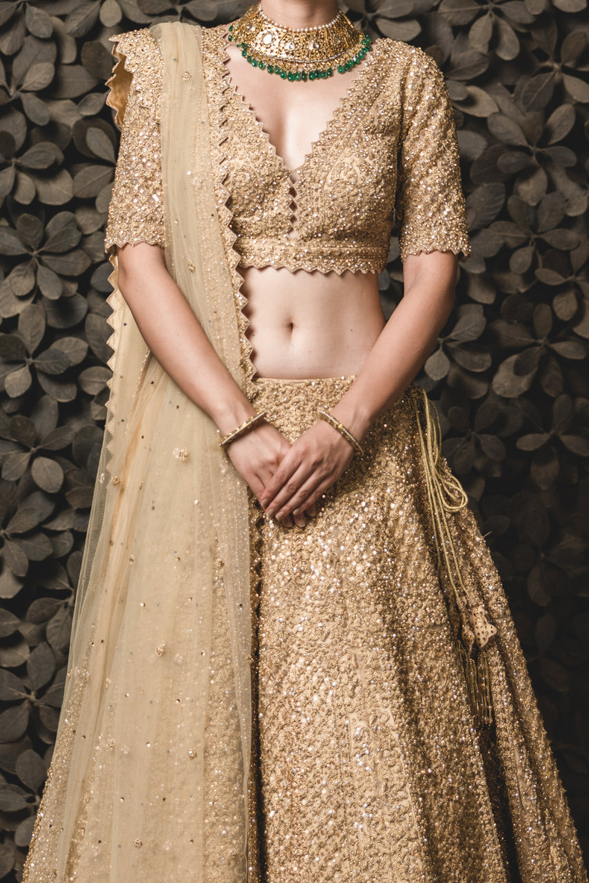 Gold Tulle Lehenga Choli Set