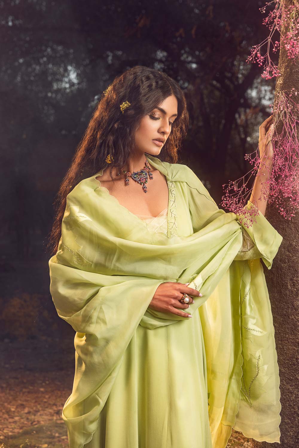 Soft Green Anarkali Set