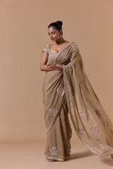Beige Lurex Chiffon Saree Blouse Set