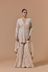 Blush Pink Dori Embroidery Sharara Set