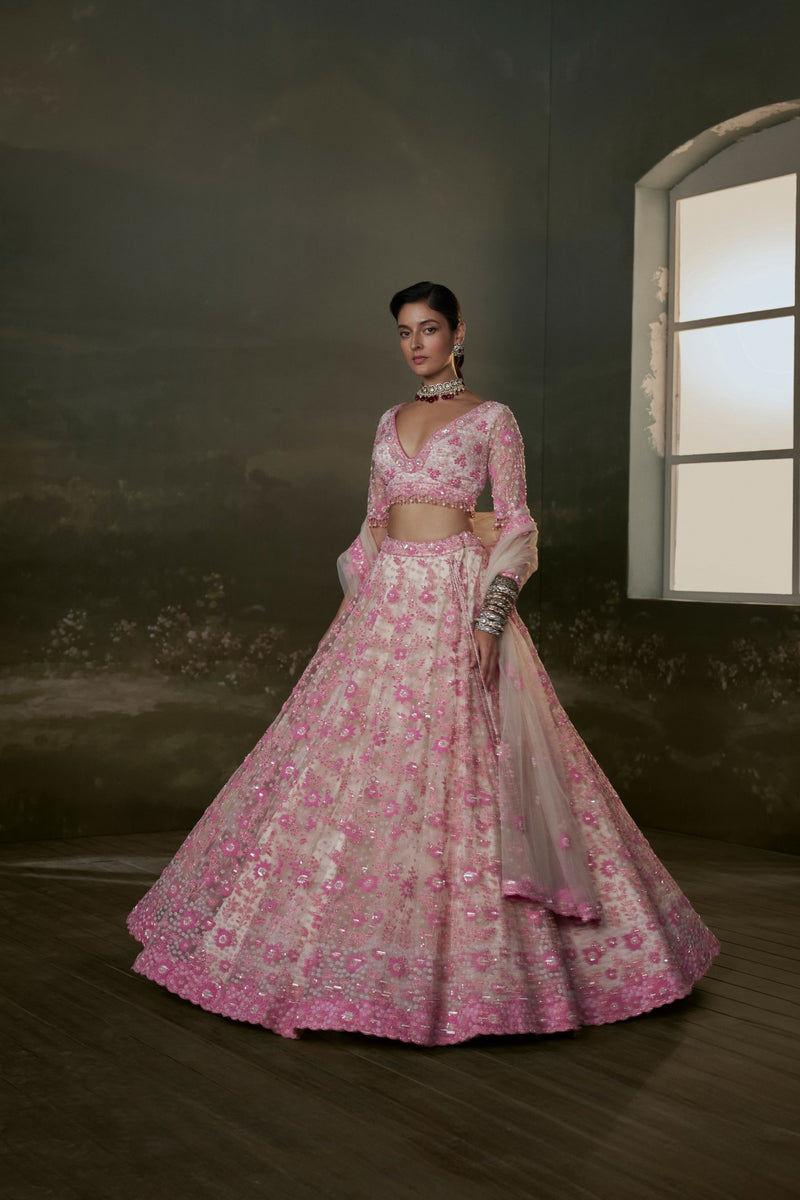 Blush - pink Net Lehenga Choli Set