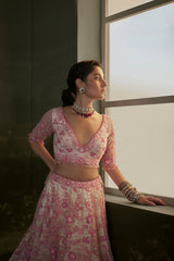 Blush - pink Net Lehenga Choli Set