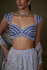 Ink Blue Lehenga Choli Set