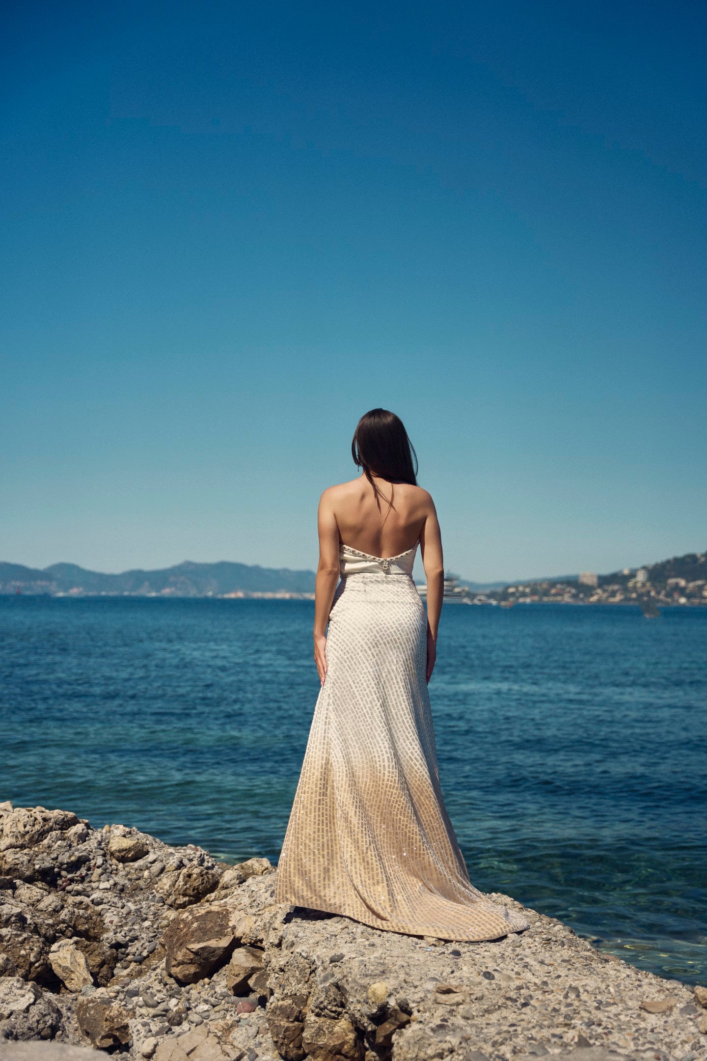 Ivory & Beige Ombre Crystal Work Gown