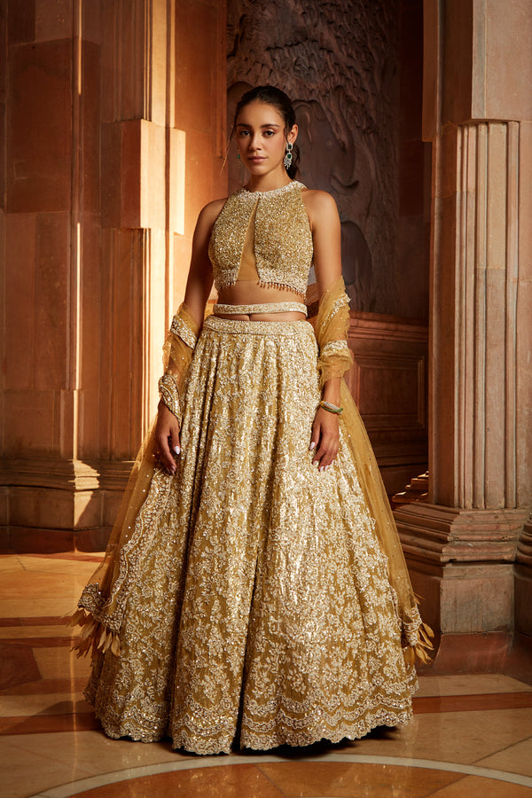 Gold Tulle Lehenga Choli Dupatta Set with Worked Belt