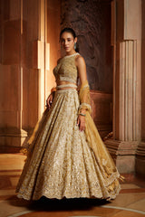 Gold Tulle Lehenga Choli Dupatta Set with Worked Belt