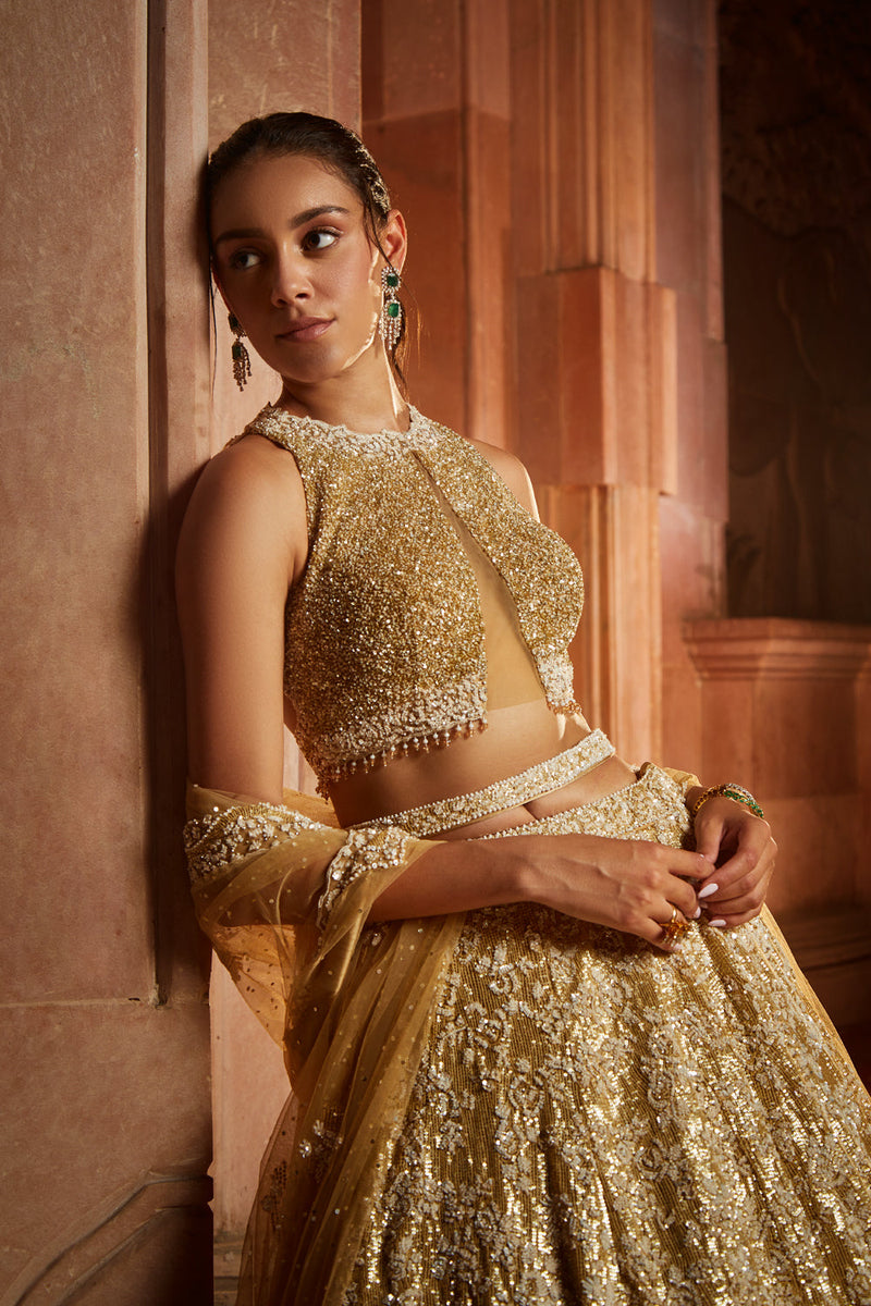 Gold Tulle Lehenga Choli Dupatta Set with Worked Belt