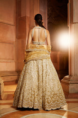 Gold Tulle Lehenga Choli Dupatta Set with Worked Belt