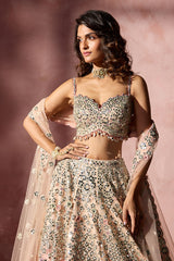 Rose Pink Ombrey Mirror Work Lehenga Set