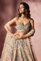 Rose Pink Ombrey Mirror Work Lehenga Set