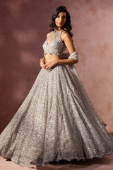 Silver Grey Net Lehenga Set