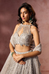 Silver Grey Net Lehenga Set