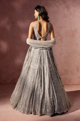 Silver Grey Net Lehenga Set