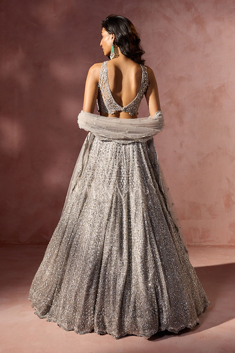 Silver Grey Net Lehenga Set