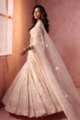 Blush Pink Net Lehenga Set