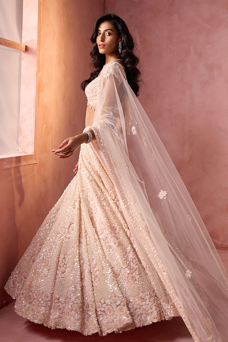 Blush Pink Net Lehenga Set