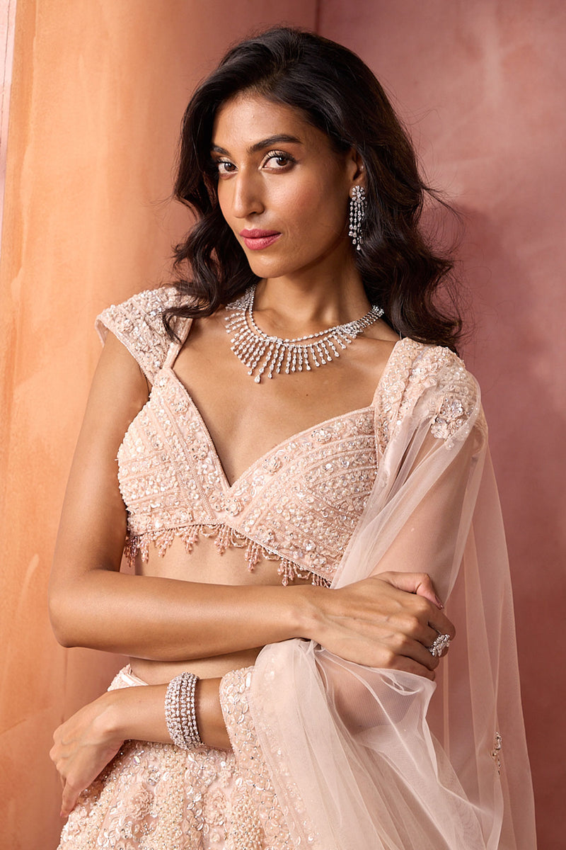 Blush Pink Net Lehenga Set
