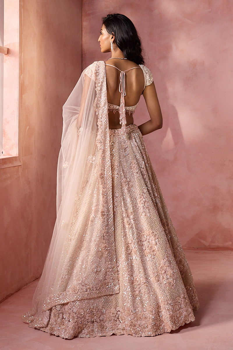 Blush Pink Net Lehenga Set