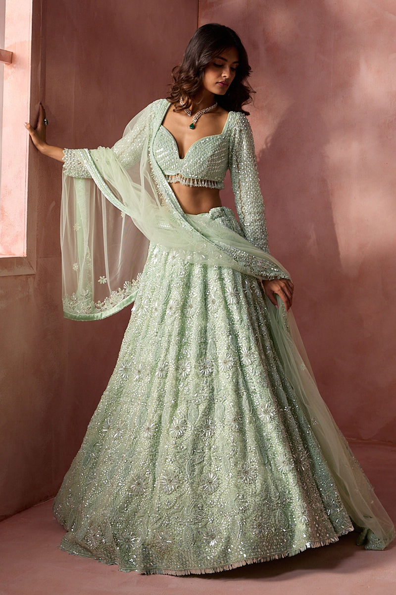 Sea Green Net Lehenga Set