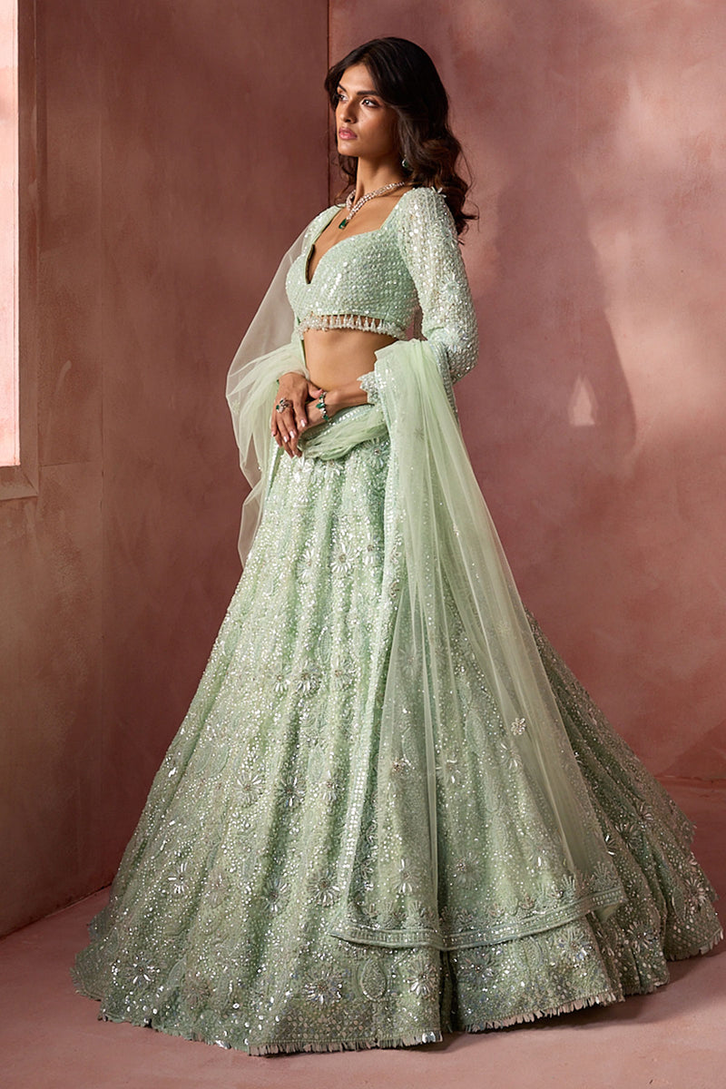 Sea Green Net Lehenga Set
