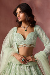 Sea Green Net Lehenga Set