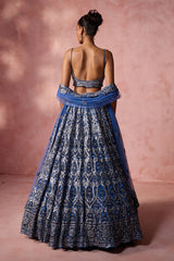 Petrol Blue Net Lehenga Set