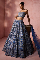 Petrol Blue Net Lehenga Set