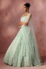 Mint Green Net Lehenga Set 