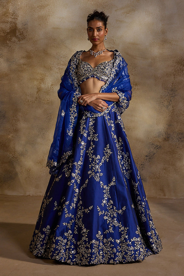Electric Blue Taffeta Gota Work Lehenga Set