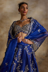 Electric Blue Taffeta Gota Work Lehenga Set