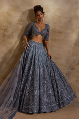 Stone Grey Net Lehenga Set