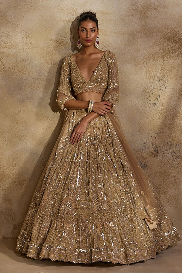 Champagne  Gold Lehenga Choli Dupatta