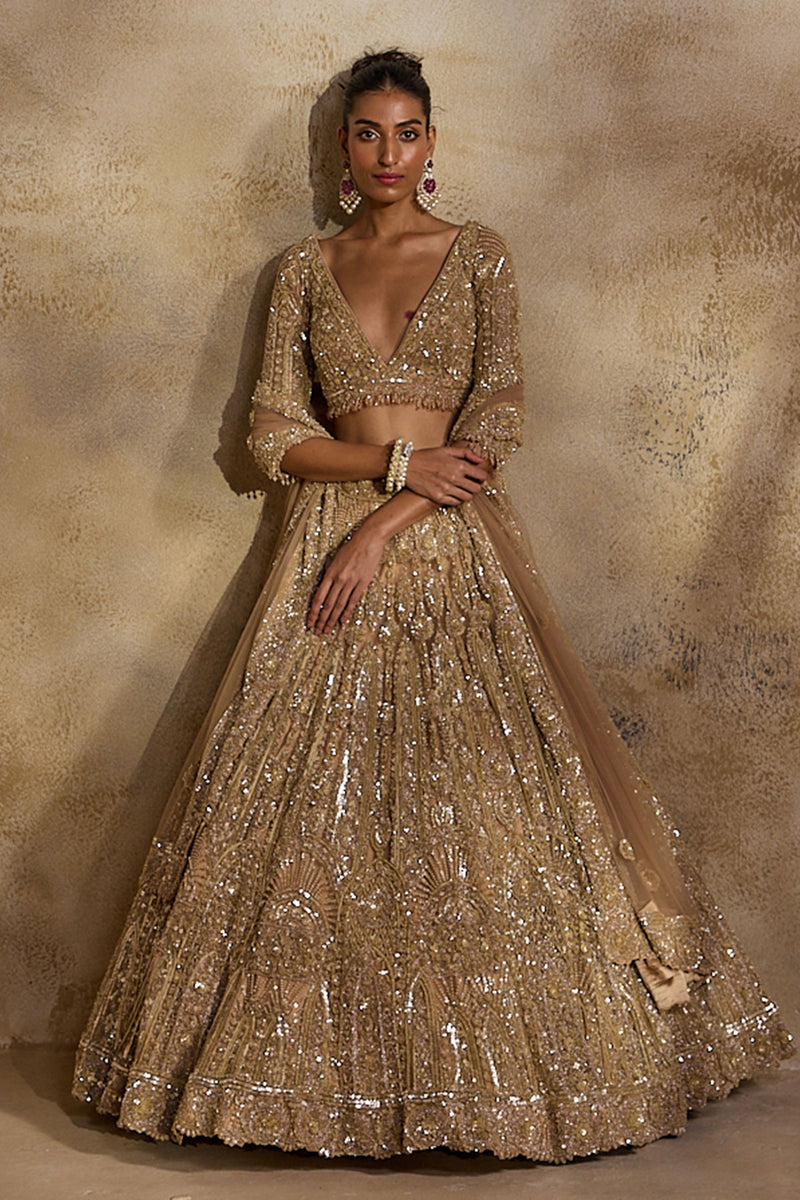 Champagne  Gold Lehenga Choli Dupatta