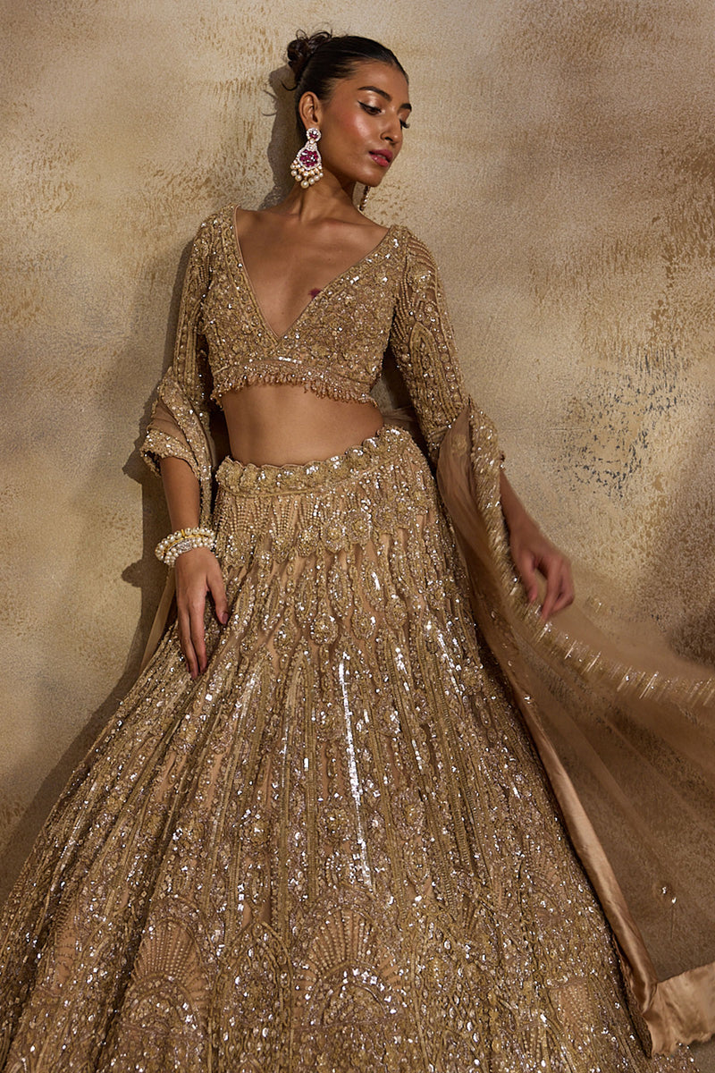 Champagne  Gold Lehenga Choli Dupatta