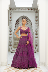 WINE NET LEHENGA CHOLI DUPATTA