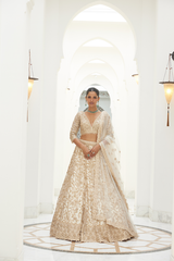 LIGHT BEIGE NET LEHENGA CHOLI SET