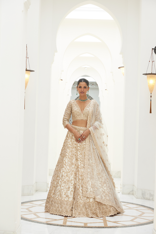 LIGHT BEIGE NET LEHENGA CHOLI SET