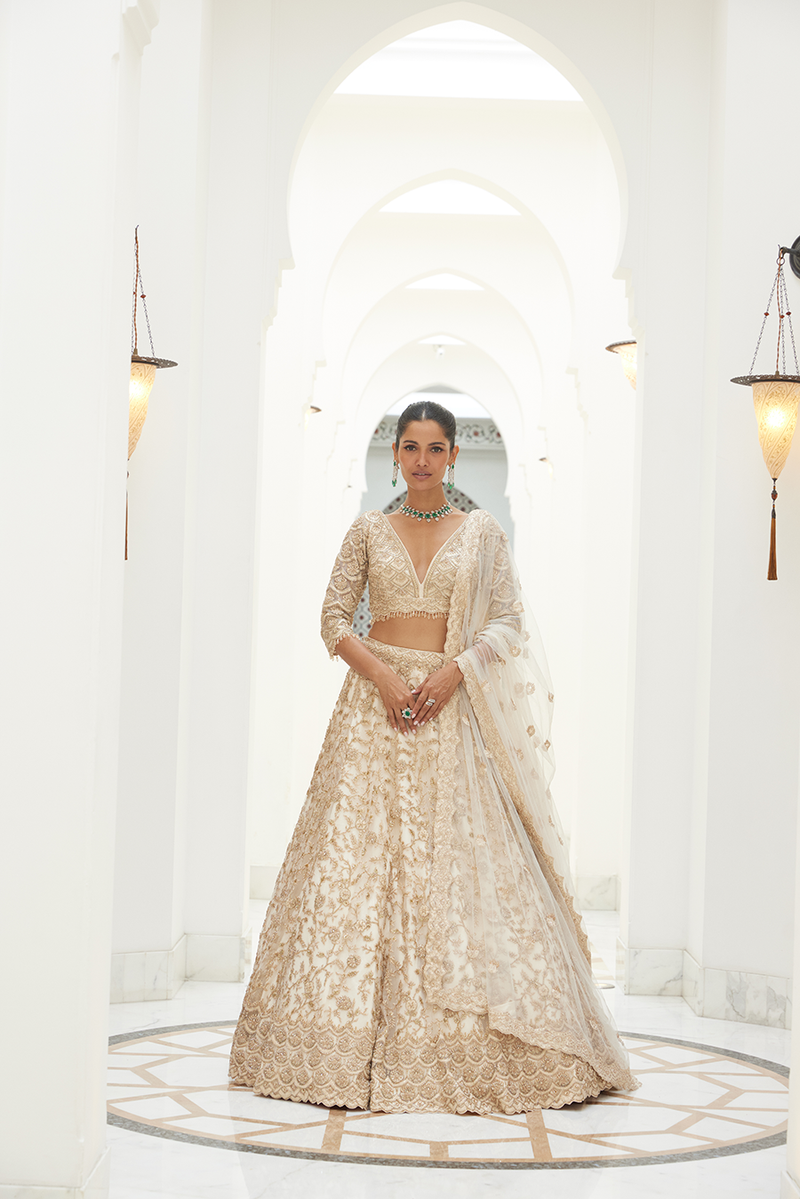 LIGHT BEIGE NET LEHENGA CHOLI SET