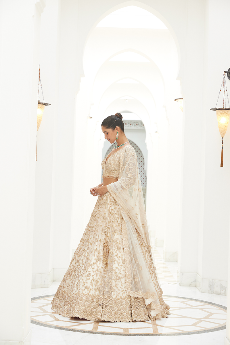 LIGHT BEIGE NET LEHENGA CHOLI SET