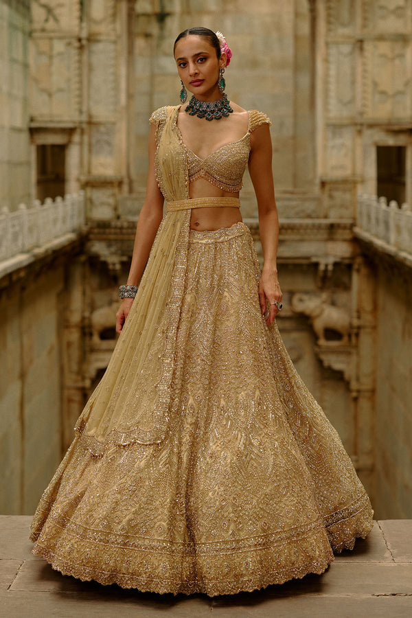 Gold Net Lehenga Set