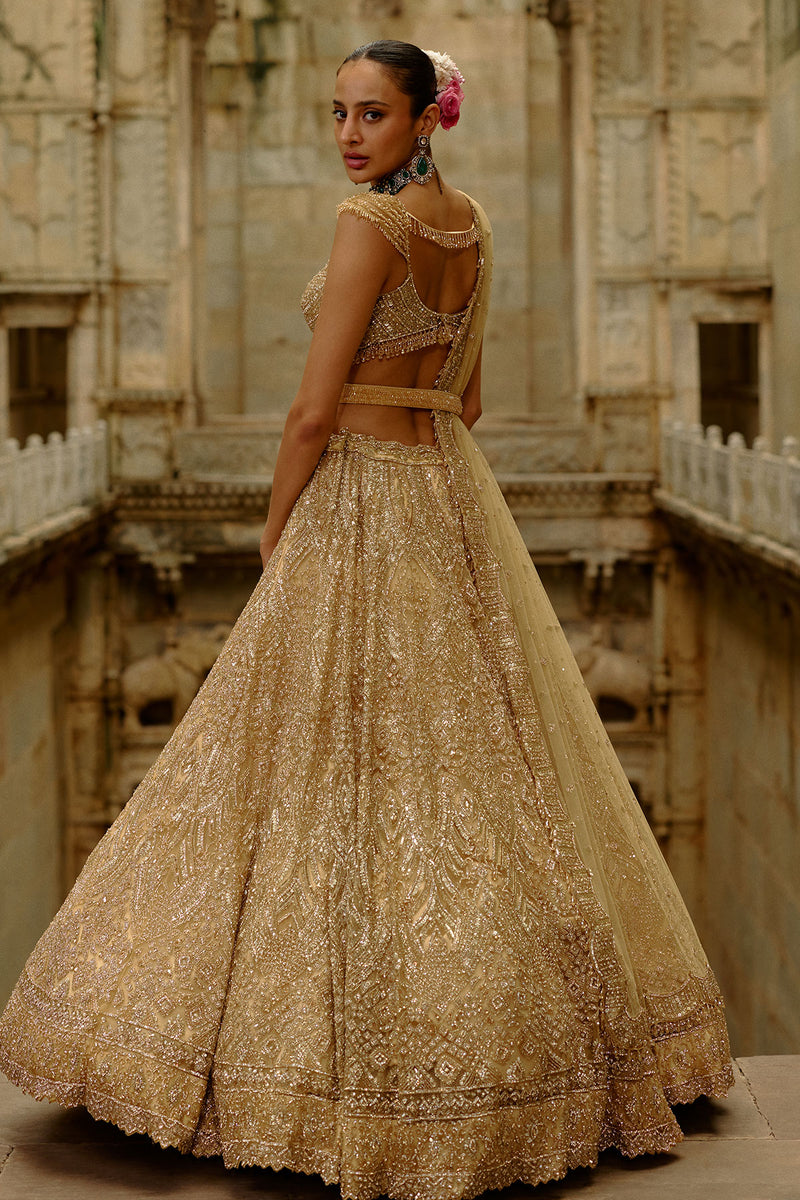 Gold Net Lehenga Set