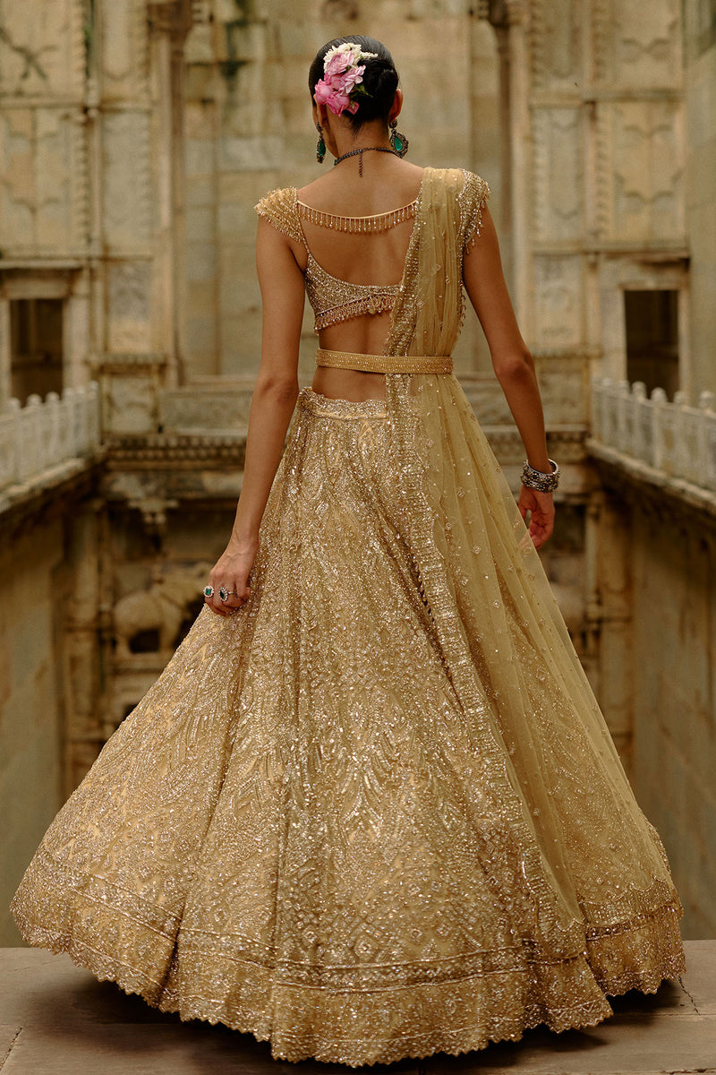Gold Net Lehenga Set