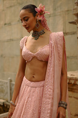 Pink Net Lehenga Set