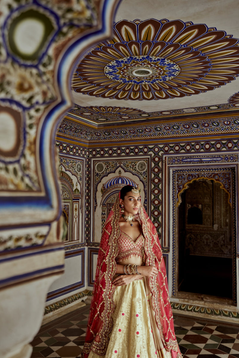 GOLD WOVEN BENARSI LEHENGA WITH RED BORDER AND RED RAW SILK CHOLI AND A RED NET JAAL DUPATTA