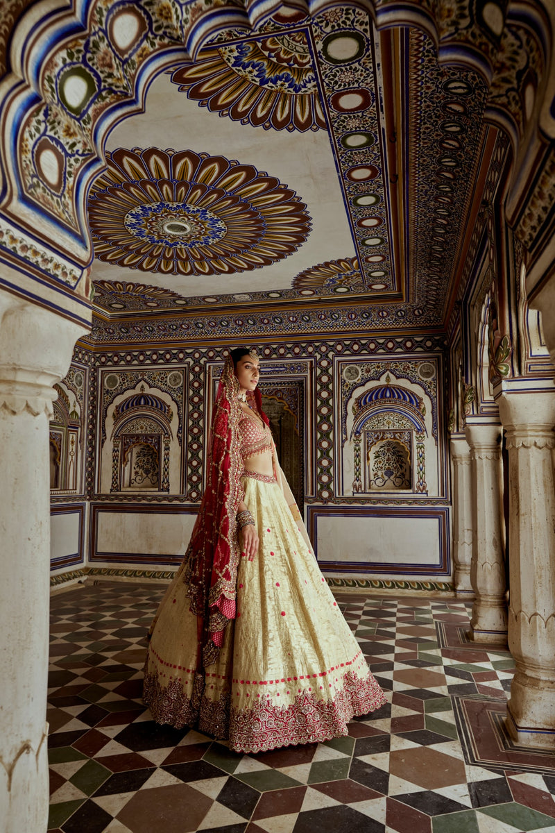 GOLD WOVEN BENARSI LEHENGA WITH RED BORDER AND RED RAW SILK CHOLI AND A RED NET JAAL DUPATTA