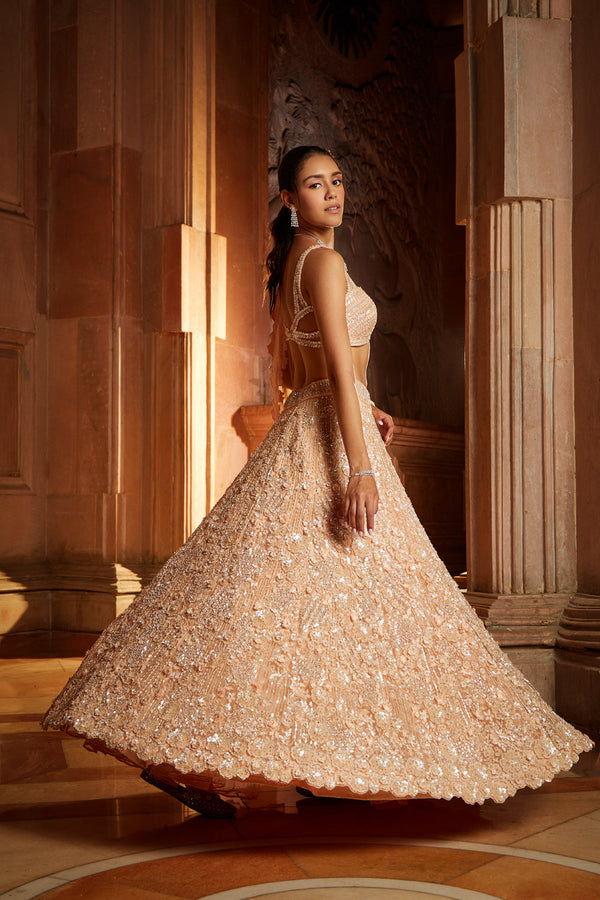 Peach Tulle Lehenga Choli Dupatta Set