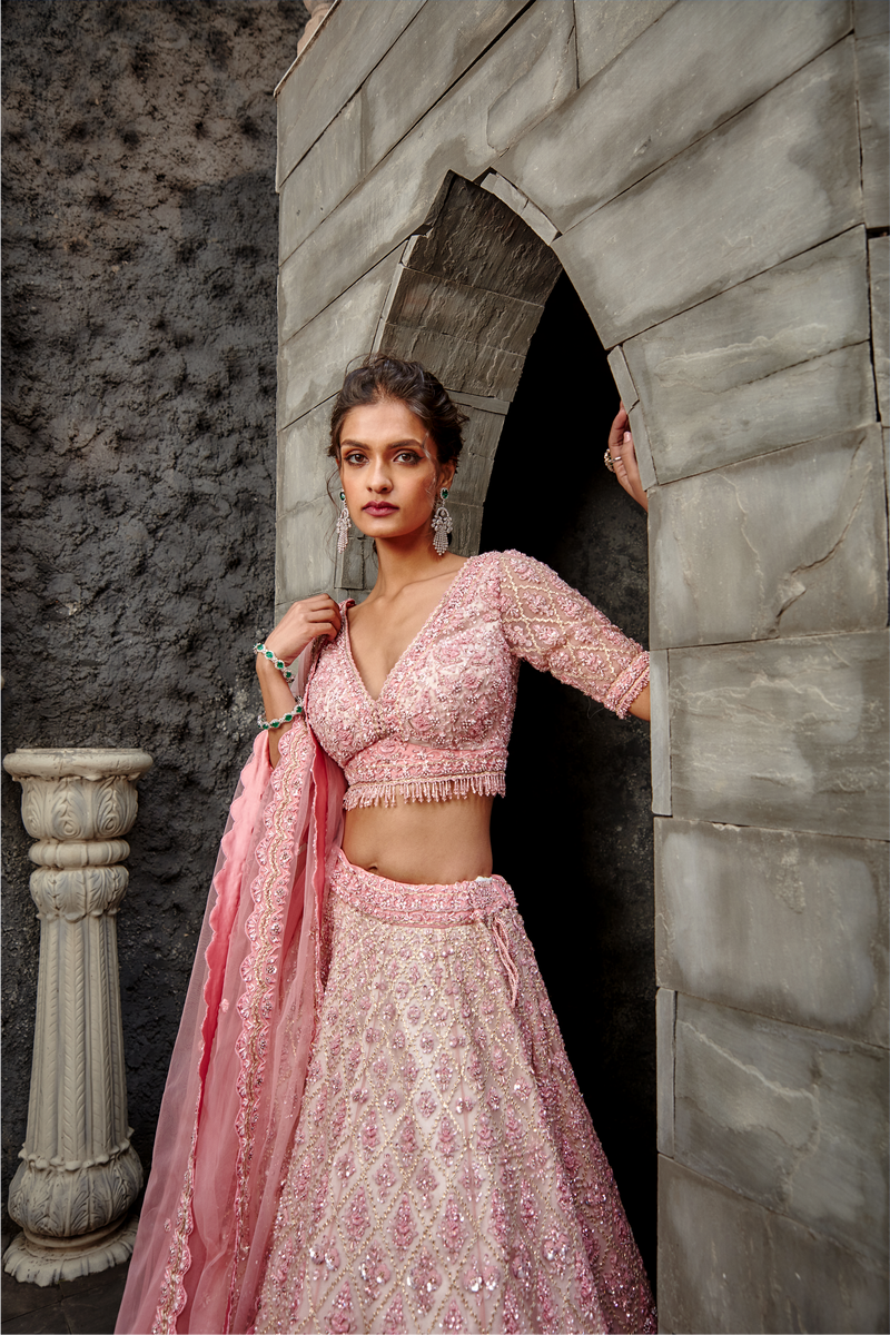 Blush Tulle Gota & Resham Lehenga