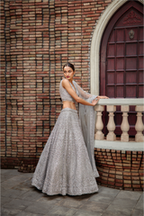 Silver Grey Tulle Lehenga Set