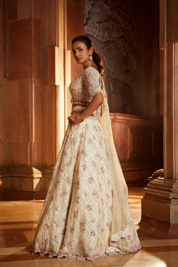 Ivory Tulle Lehenga Choli Set